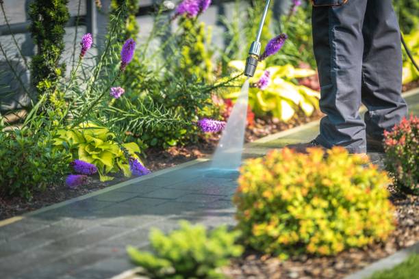 Best Post-Construction Pressure Washing  in Glenarden, MD